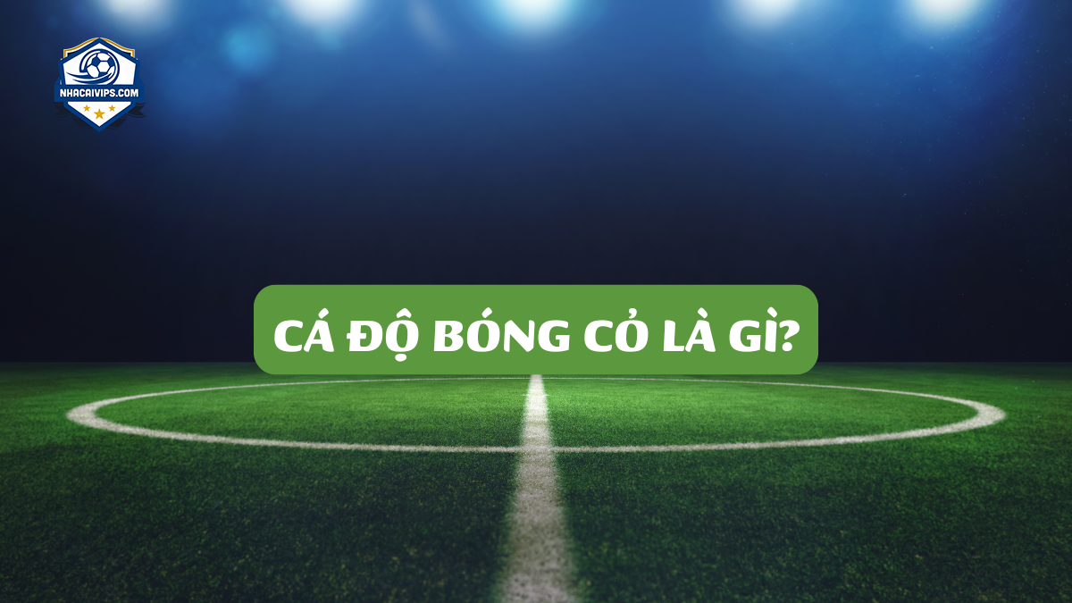 Cá Độ Bóng Cỏ Là Gì?