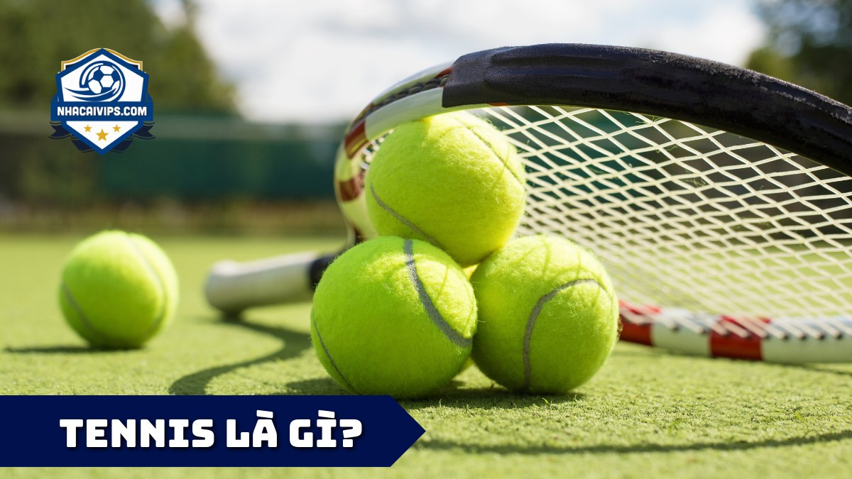 Tennis Là Gì?